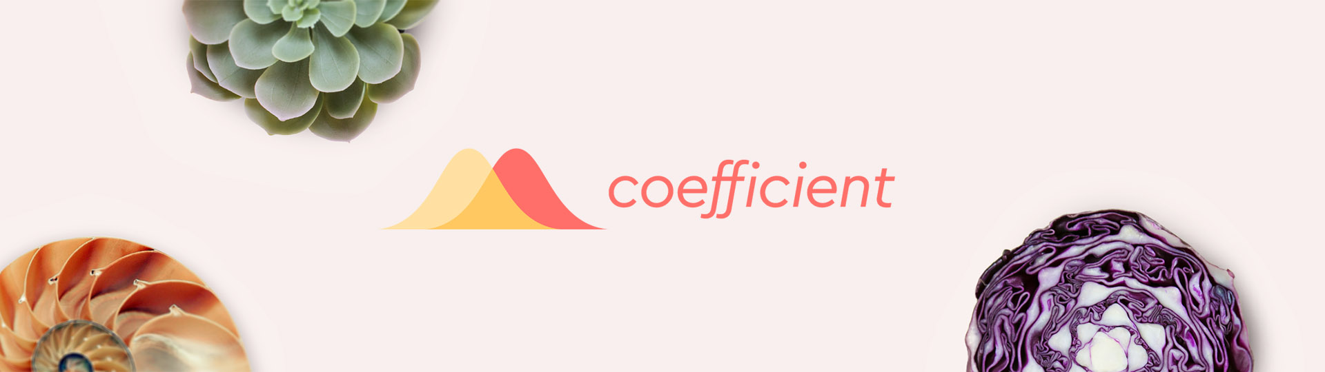 coefficient banner