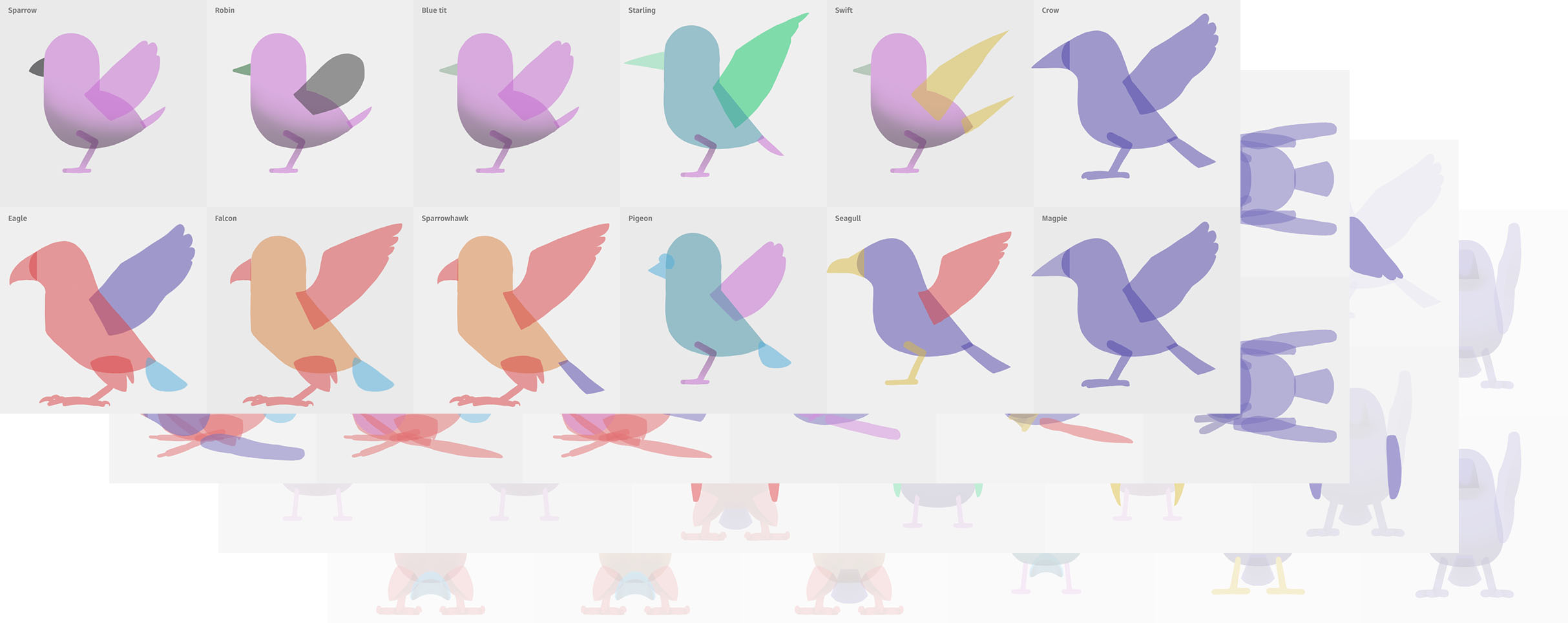 Bird model sheet
